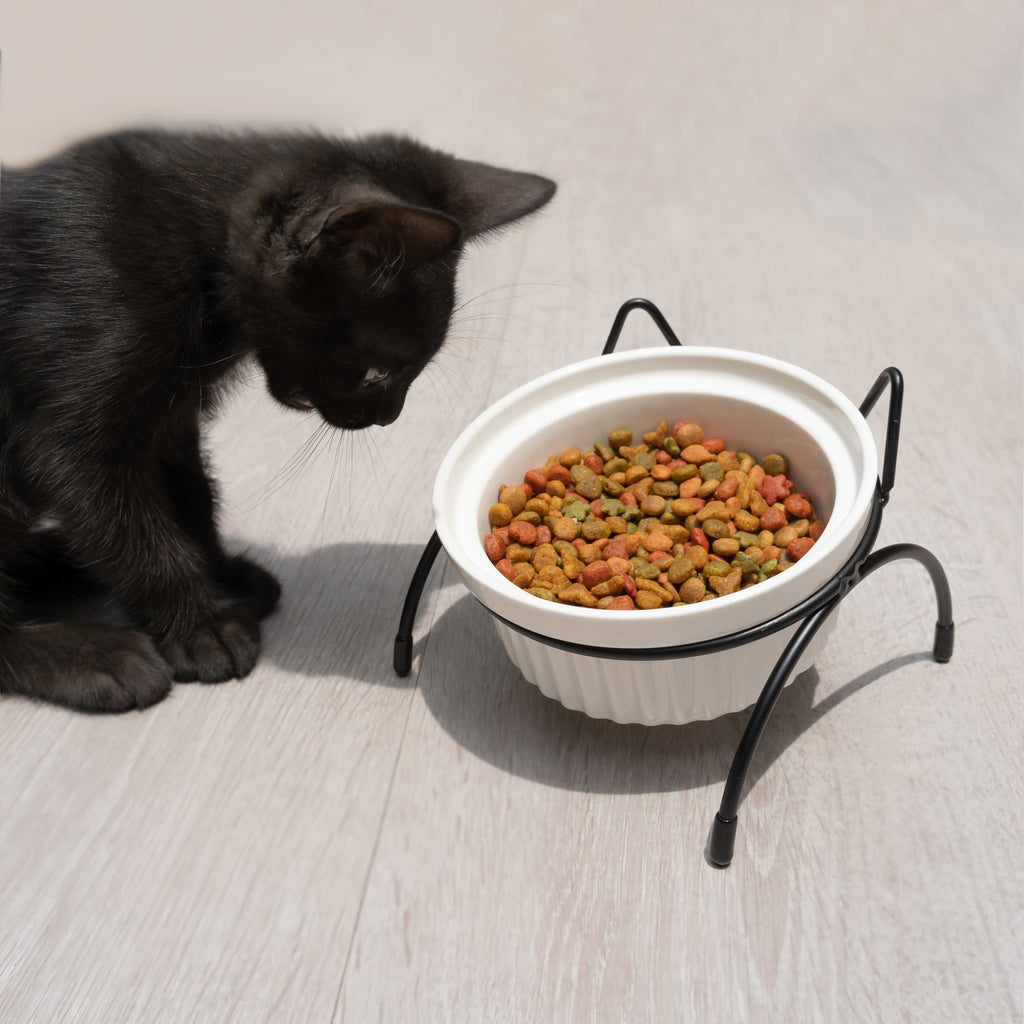 Plato de comida para mascotas - Cat Black